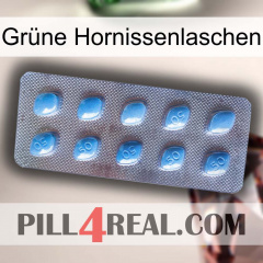 Grüne Hornissenlaschen viagra3